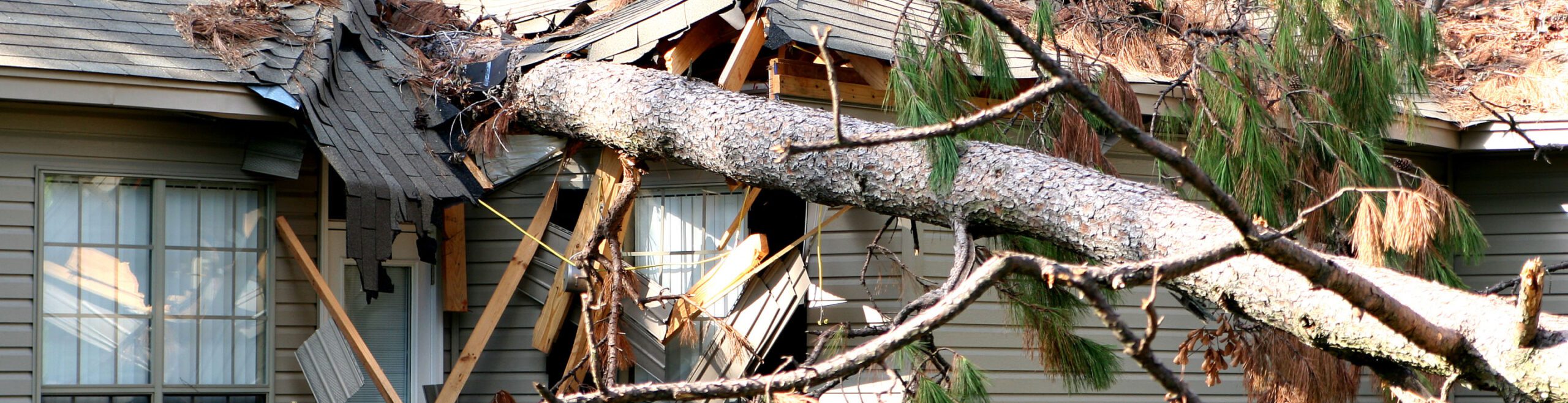 Community Disaster Loan Applications and Cancellation